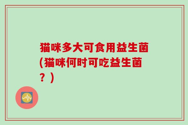 猫咪多大可食用益生菌(猫咪何时可吃益生菌？)