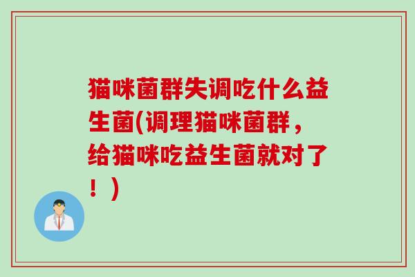 猫咪菌群失调吃什么益生菌(调理猫咪菌群，给猫咪吃益生菌就对了！)