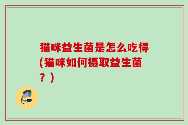 猫咪益生菌是怎么吃得(猫咪如何摄取益生菌？)