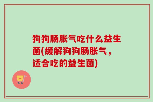狗狗肠吃什么益生菌(缓解狗狗肠,适合吃的益生菌) 狗狗肠吃什么益生菌(缓解狗狗肠,适合吃的益生菌)