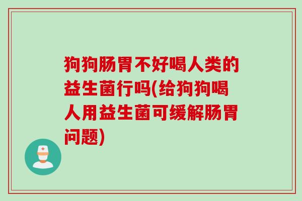 狗狗肠胃不好喝人类的益生菌行吗(给狗狗喝人用益生菌可缓解肠胃问题) 狗狗肠胃不好喝人类的益生菌行吗(给狗狗喝人用益生菌可缓解肠胃问题)
