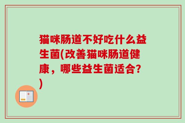 猫咪肠道不好吃什么益生菌(改善猫咪肠道健康，哪些益生菌适合？)