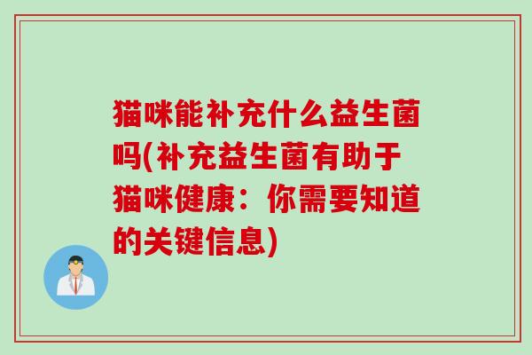 猫咪能补充什么益生菌吗(补充益生菌有助于猫咪健康：你需要知道的关键信息)
