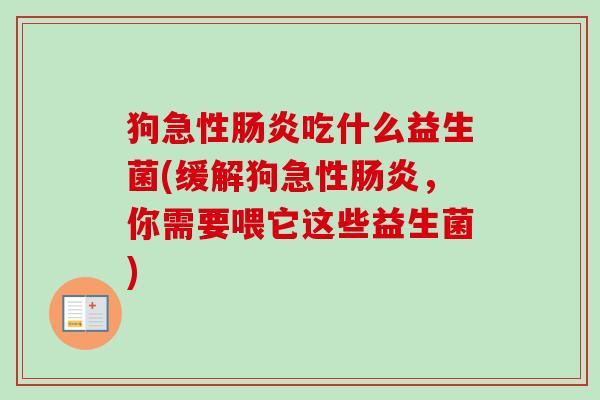 狗急性吃什么益生菌(缓解狗急性,你需要喂它这些益生菌) 狗急性吃什么益生菌(缓解狗急性,你需要喂它这些益生菌)