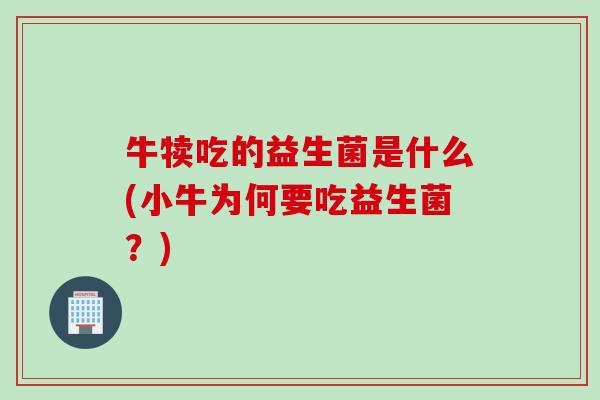 牛犊吃的益生菌是什么(小牛为何要吃益生菌？)