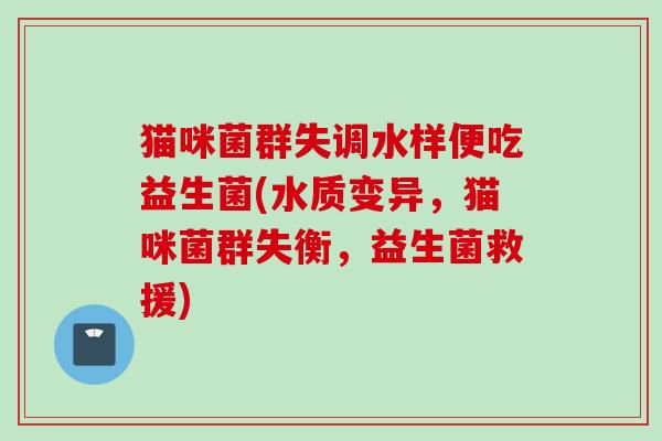 猫咪菌群失调水样便吃益生菌(水质变异，猫咪菌群失衡，益生菌救援)