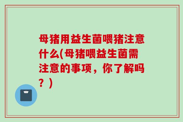 母猪用益生菌喂猪注意什么(母猪喂益生菌需注意的事项，你了解吗？)