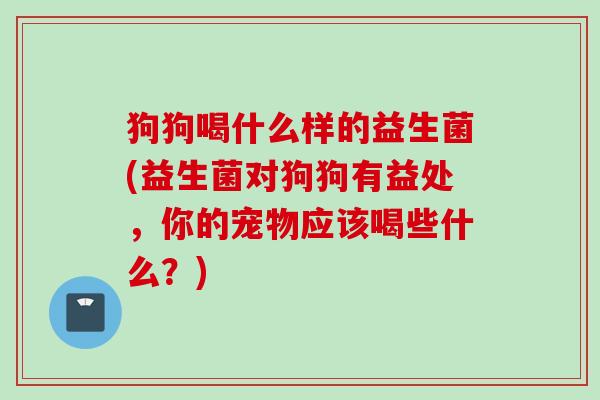 狗狗喝什么样的益生菌(益生菌对狗狗有益处,你的宠物应该喝些什么?) 狗狗喝什么样的益生菌(益生菌对狗狗有益处,你的宠物应该喝些什么?)