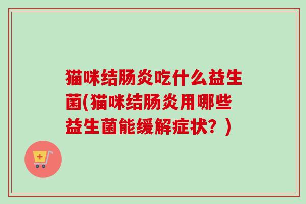 猫咪结吃什么益生菌(猫咪结用哪些益生菌能缓解症状？)