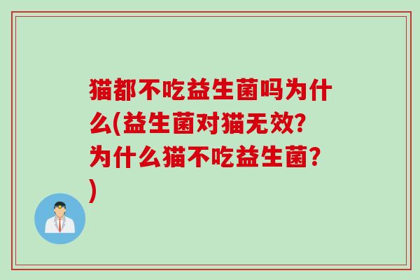 猫都不吃益生菌吗为什么(益生菌对猫无效？为什么猫不吃益生菌？)