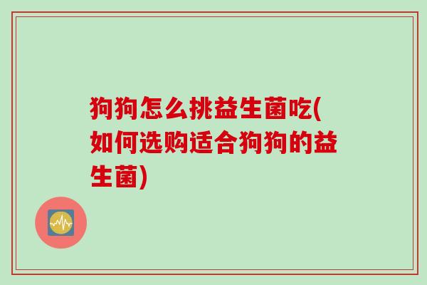 狗狗怎么挑益生菌吃(如何选购适合狗狗的益生菌)