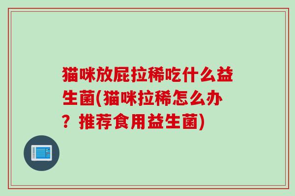猫咪放屁拉稀吃什么益生菌(猫咪拉稀怎么办?推荐食用益生菌) 猫咪放屁拉稀吃什么益生菌(猫咪拉稀怎么办?推荐食用益生菌)