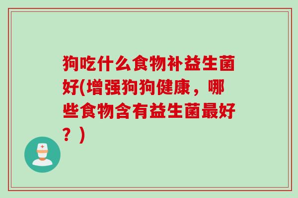 狗吃什么食物补益生菌好(增强狗狗健康，哪些食物含有益生菌最好？)