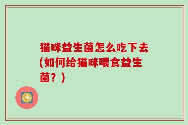 猫咪益生菌怎么吃下去(如何给猫咪喂食益生菌?) 猫咪益生菌怎么吃下去(如何给猫咪喂食益生菌?)
