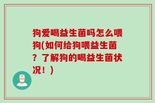 狗爱喝益生菌吗怎么喂狗(如何给狗喂益生菌?了解狗的喝益生菌状况!) 狗爱喝益生菌吗怎么喂狗(如何给狗喂益生菌?了解狗的喝益生菌状况!)