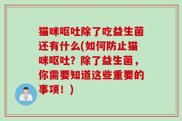 猫咪除了吃益生菌还有什么(如何防止猫咪？除了益生菌，你需要知道这些重要的事项！)