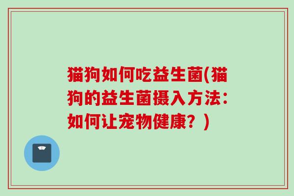 猫狗如何吃益生菌(猫狗的益生菌摄入方法：如何让宠物健康？)