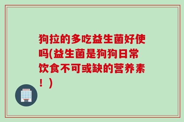 狗拉的多吃益生菌好使吗(益生菌是狗狗日常饮食不可或缺的营养素！)