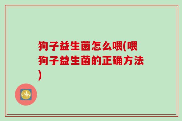 狗子益生菌怎么喂(喂狗子益生菌的正确方法)
