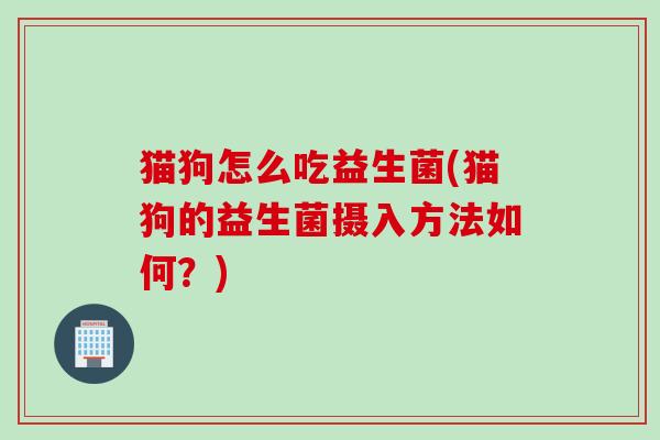 猫狗怎么吃益生菌(猫狗的益生菌摄入方法如何？)
