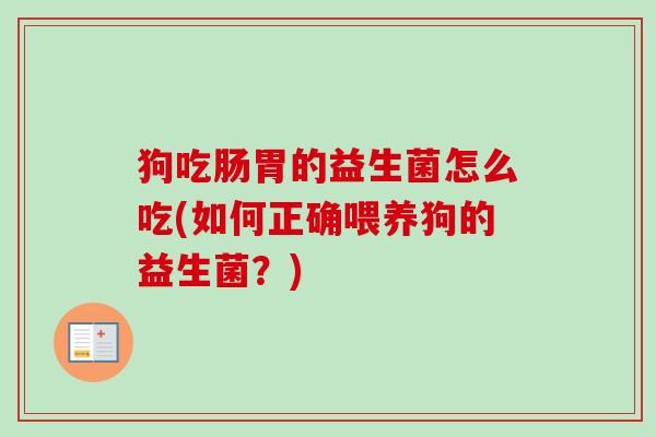 狗吃肠胃的益生菌怎么吃(如何正确喂养狗的益生菌？)