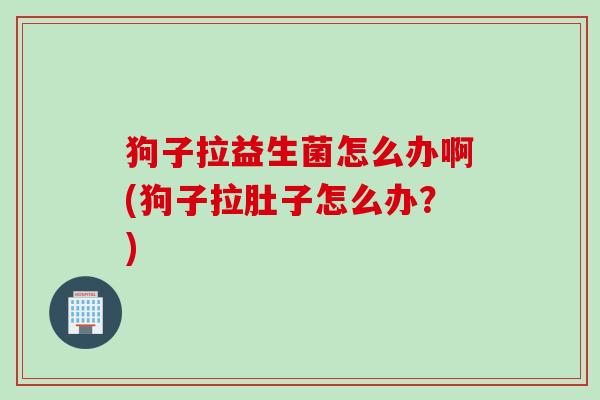狗子拉益生菌怎么办啊(狗子拉肚子怎么办？)