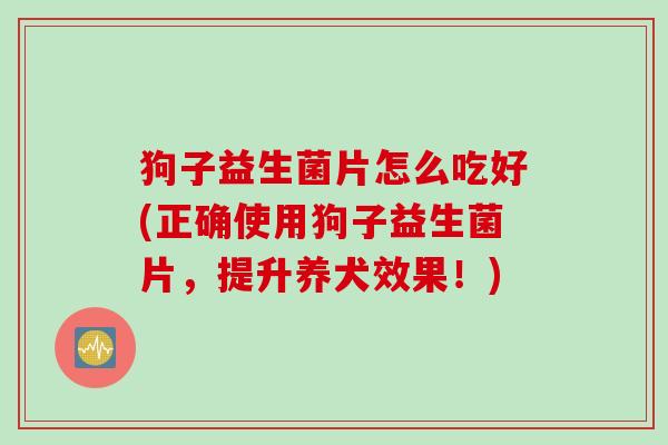 狗子益生菌片怎么吃好(正确使用狗子益生菌片，提升养犬效果！)