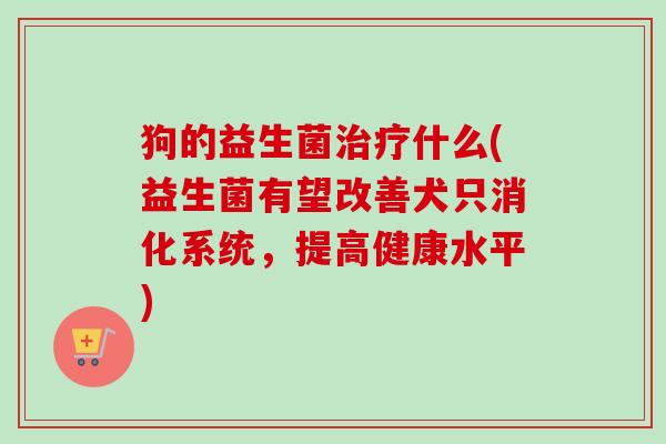 狗的益生菌什么(益生菌有望改善犬只消化系统，提高健康水平)