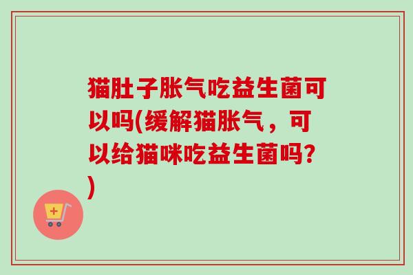 猫肚子吃益生菌可以吗(缓解猫，可以给猫咪吃益生菌吗？)