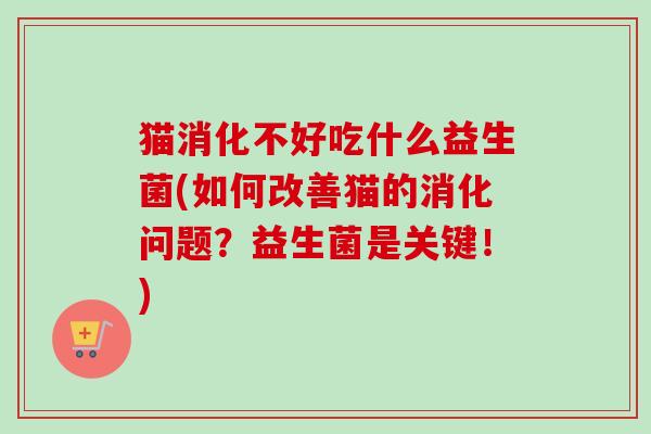 猫消化不好吃什么益生菌(如何改善猫的消化问题?益生菌是关键!) 猫消化不好吃什么益生菌(如何改善猫的消化问题?益生菌是关键!)