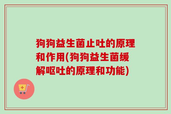 狗狗益生菌止吐的原理和作用(狗狗益生菌缓解的原理和功能)