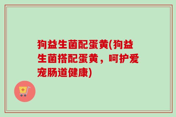 狗益生菌配蛋黄(狗益生菌搭配蛋黄，呵护爱宠肠道健康)