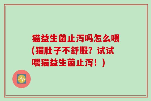 猫益生菌止泻吗怎么喂(猫肚子不舒服？试试喂猫益生菌止泻！)