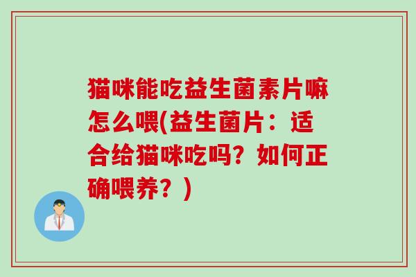 猫咪能吃益生菌素片嘛怎么喂(益生菌片：适合给猫咪吃吗？如何正确喂养？)