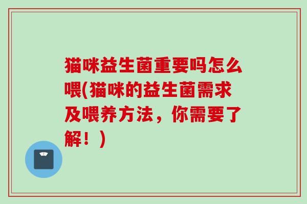 猫咪益生菌重要吗怎么喂(猫咪的益生菌需求及喂养方法，你需要了解！)