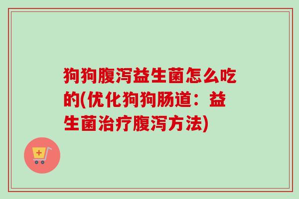 狗狗益生菌怎么吃的(优化狗狗肠道：益生菌方法)