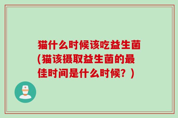猫什么时候该吃益生菌(猫该摄取益生菌的佳时间是什么时候？)