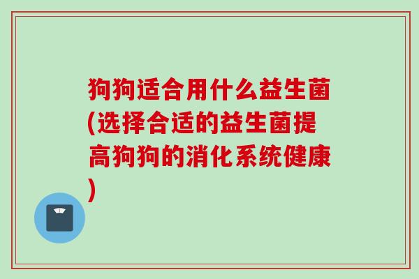狗狗适合用什么益生菌(选择合适的益生菌提高狗狗的消化系统健康)
