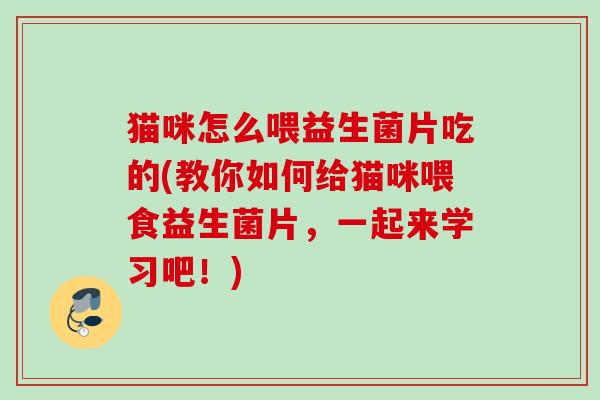 猫咪怎么喂益生菌片吃的(教你如何给猫咪喂食益生菌片，一起来学习吧！)