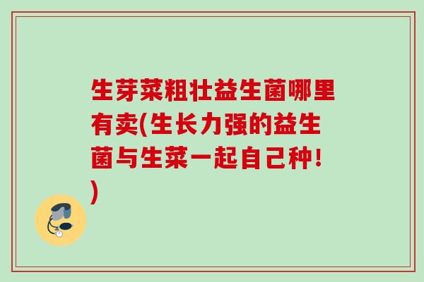 生芽菜粗壮益生菌哪里有卖(生长力强的益生菌与生菜一起自己种!) 生芽菜粗壮益生菌哪里有卖(生长力强的益生菌与生菜一起自己种!)