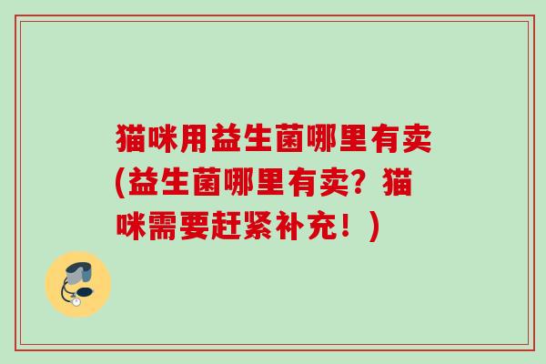 猫咪用益生菌哪里有卖(益生菌哪里有卖？猫咪需要赶紧补充！)