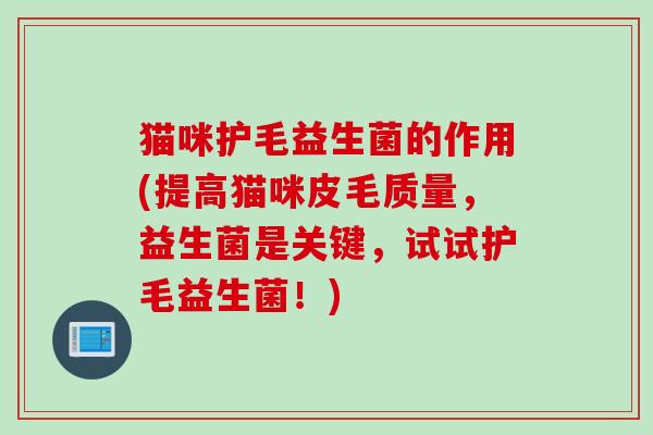 猫咪护毛益生菌的作用(提高猫咪皮毛质量,益生菌是关键,试试护毛益生菌!) 猫咪护毛益生菌的作用(提高猫咪皮毛质量,益生菌是关键,试试护毛益生菌!)