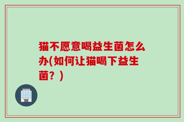 猫不愿意喝益生菌怎么办(如何让猫喝下益生菌?) 猫不愿意喝益生菌怎么办(如何让猫喝下益生菌?)