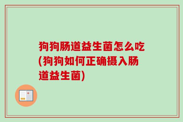 狗狗肠道益生菌怎么吃(狗狗如何正确摄入肠道益生菌) 狗狗肠道益生菌怎么吃(狗狗如何正确摄入肠道益生菌)