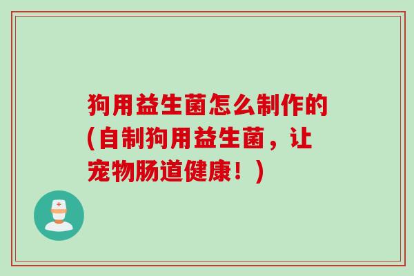 狗用益生菌怎么制作的(自制狗用益生菌,让宠物肠道健康!) 狗用益生菌怎么制作的(自制狗用益生菌,让宠物肠道健康!)