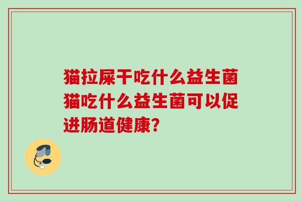 猫拉屎干吃什么益生菌猫吃什么益生菌可以促进肠道健康？