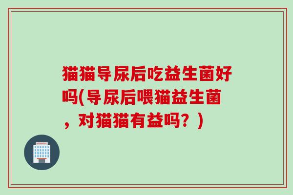 猫猫导尿后吃益生菌好吗(导尿后喂猫益生菌,对猫猫有益吗?) 猫猫导尿后吃益生菌好吗(导尿后喂猫益生菌,对猫猫有益吗?)