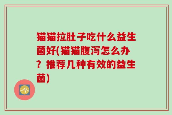 猫猫拉肚子吃什么益生菌好(猫猫怎么办？推荐几种有效的益生菌)