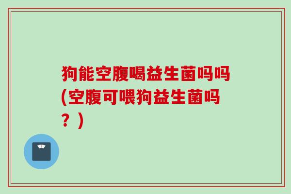 狗能空腹喝益生菌吗吗(空腹可喂狗益生菌吗？)