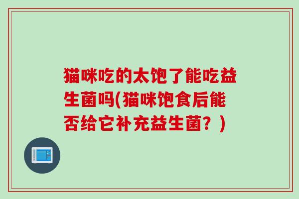 猫咪吃的太饱了能吃益生菌吗(猫咪饱食后能否给它补充益生菌?) 猫咪吃的太饱了能吃益生菌吗(猫咪饱食后能否给它补充益生菌?)